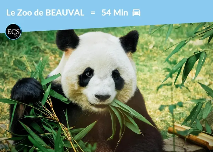 2-central Bleu - Hypercentre Tours